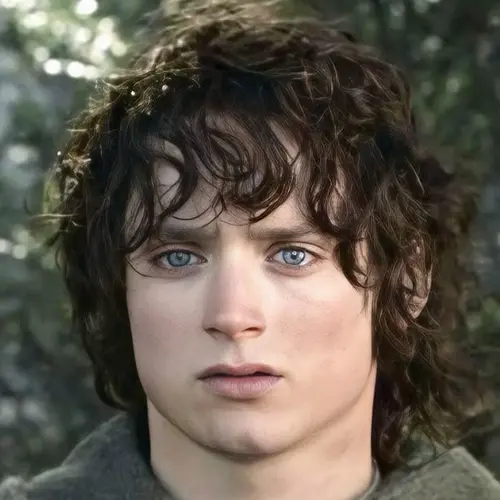 فرودو بگینز